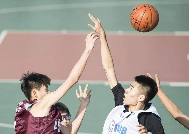精品福利视频在线观看